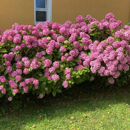 Appartamento Residenza Viel Bibione Esterno foto